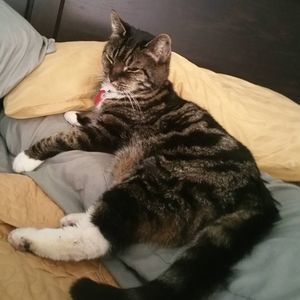 Meet your Posher, Jeannette